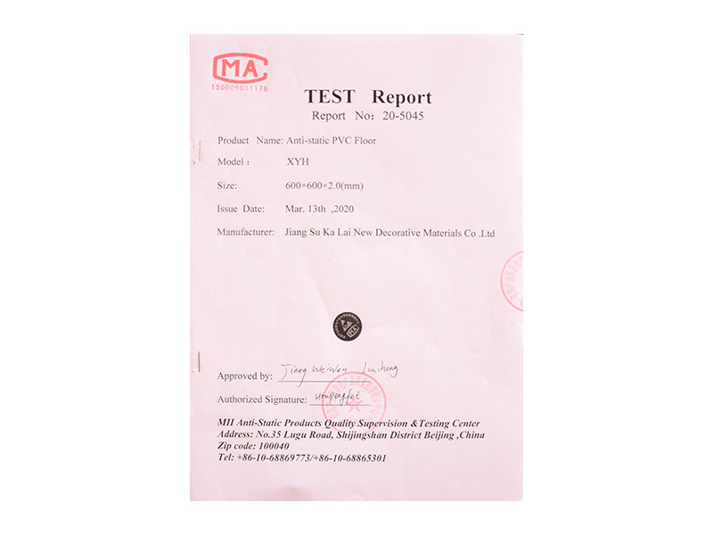 TEST Report